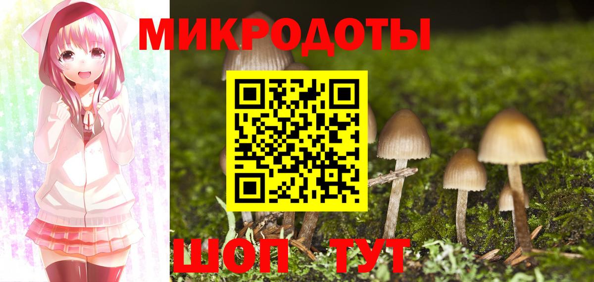 Торжок  Галлюциногенные грибы Psilocybine cubensis  Вход с VPN  Псилоцибиновые грибы мицелий 